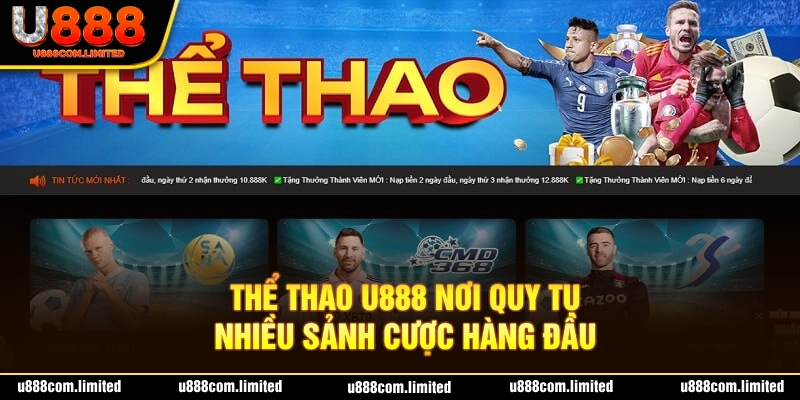 Chuyên mục thể thao cập nhật hàng nghìn trận đấu mỗi ngày